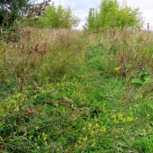 3ec2bb2b8b117cb65e07bbbd91c488e9