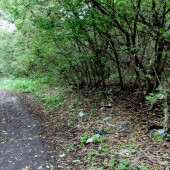 495264498c07f90b75d3bcb40f2a497e