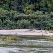 4a1cc3aa8ee5b593be040646e68fa516