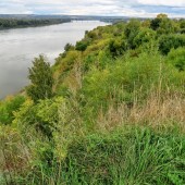 51988c3556d2be4300fb9ca0352cf41c