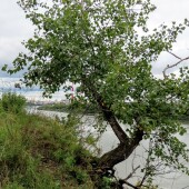 52f1ab4a01bea34356e9d73b8980bfd7