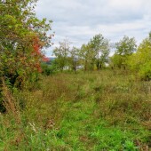 585fa4b0ecbe33a16a83859836edaa4c