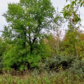 62ffda1fafbdad6c58fe42990cd114f9