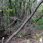 6e85088a7da507a70f4406a760c1fa60