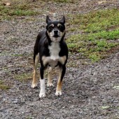 7177aea8bdabb4cced255813efdb8570