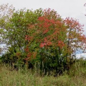 78e3443fdb114605995bcefb11ebf638