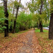 83bcabf4c2092a59503d829c57010110