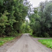 8645ebc876de8d815960e1dfcf1dd812