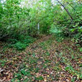 897bfbbd13511957adde256fe6103607