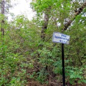 92acb3a6c688edc41296de265b29aec0