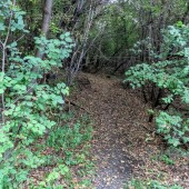 9505b5ddc6c43cf372614abf7b0d2ddc