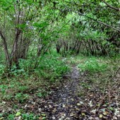 970825f2facdf7970525c7fd8d5ca65d