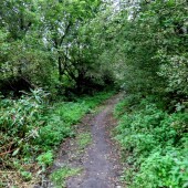 a789a15d250460ff2d98e8f1e4cd36f7