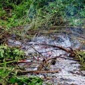 c3af72de187e4020c0366ce5ce8c62b5