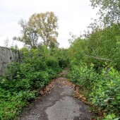 c3c905603e4b8ed96fefaa40ac5bbe73