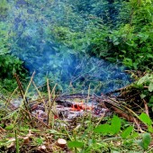 c9dcb4c7129c36a9523f8784a1190464