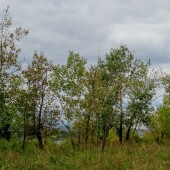 cbdc2c0df1f40008b607b0a5e4cd5dbe