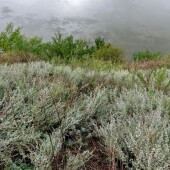 d7349bbb8fb125e5780bb0adc7554730