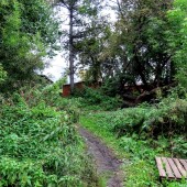 dca9477765f23dc860387244c518766c