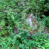 dd7713ebc98258de4e2d3be230603697