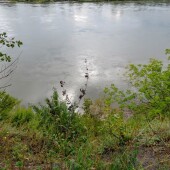 e4d529767fd6d2cf4da8141cdee0c0fb