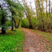 e789aa3bad8436782f15f87ccfa8903b