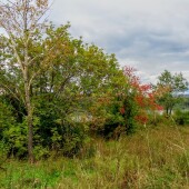 e7b6db0b5c8a13e638c3019a24421d5a