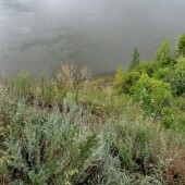 f1533136e23113d48936de321d41bf95