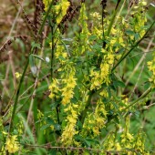 f254784160b962f9244042a75aba62e9