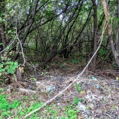 f406cdfb7e6a1df5bc8c53073a6f61ec