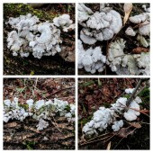 374b27ff2fcf4508cf9cbe83115d0213