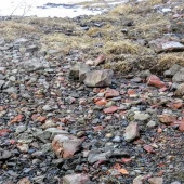 00f6afc1a971337bc98b0c158d86b3d1