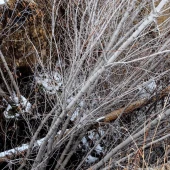 058d93abdd55f32364243f9a758c7526