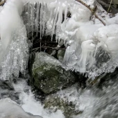 096f93ad3ea2d9dc2fdd66ff304513ff