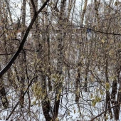 157e9586522e43891295782460a31f2c