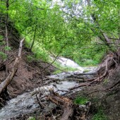 1ee27fa39535b74f0ae934f63c05d548