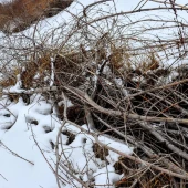 214004b4693f27c0ed502a8e72ac14ee