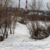 2170e3fa6bf7e3efc0c31d10cc42d55b