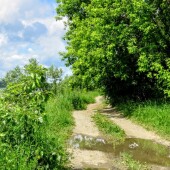 24b222994bf10e81726ce716798ae46d