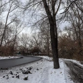 269ec23151138f33ae75f12814c49fc8