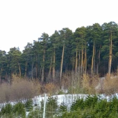 2a74d01e3632eece313eea3c9ec5d0ff