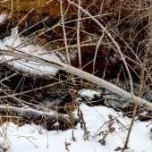 2c5f922954041e7599c0ef578c7856e8