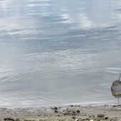 2fa5faf2e72101b42f65ed7df8c1daf6