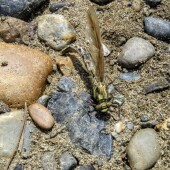 316b2807941250a8da336ea9dfcbd8bf