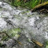 31716a5c342fa26f4fd999d237585180