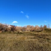 35c8b3d21cbb584df7135d1c147198a1