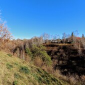 37ed290eeb9d943ef94ff978eea5a46e