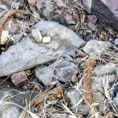 385e507e952f61b49ede681306b5ce99