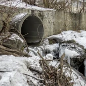 3a7e8b0459b382a2efea669b1532b034