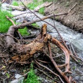 3cf1b25e5ed93d5e70cbb1d56b488922